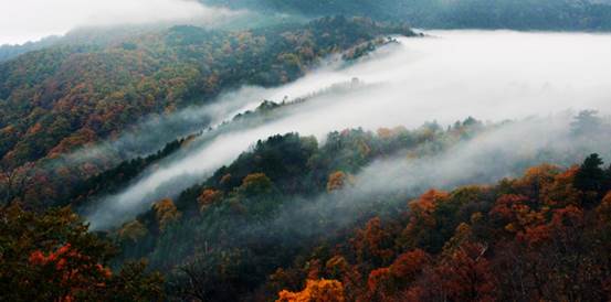 https___photo.ah12301.com_uploads_5d3a55e1ae475_waters