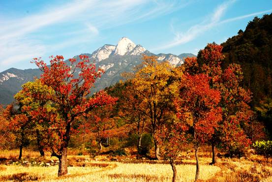 https___photo.ah12301.com_uploads_5dbbb0f109c7f_waters