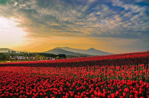 6c8c5f4194750c99b859dc03d9b0db2