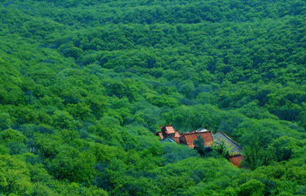 d022c24312dbe2d1018012c0fe36de8