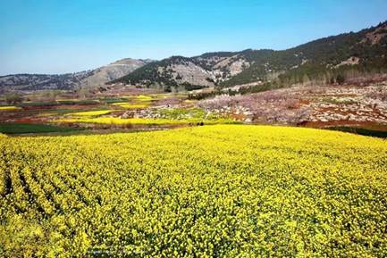 7c99c16649e2b86d6b189b4eac1b0a0