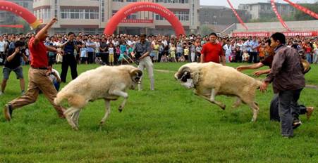 a619ca2f400c01adf4482f24da23d77