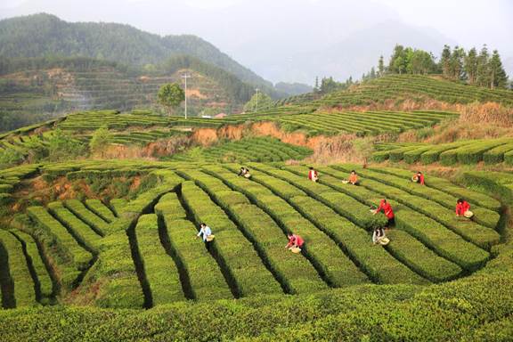 9fab3af3101f222f0759c3f83e5e998