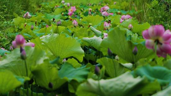 d14e8f33f2d258506f7478d1a88ef1d