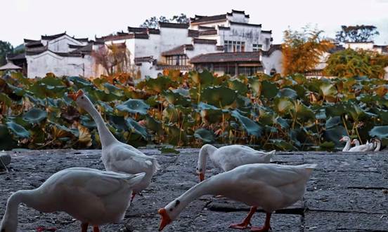 2fe370fa43be24a4dbfb80f205cc16c