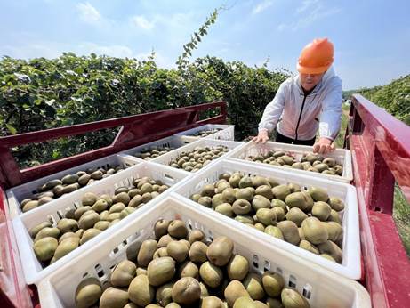 6de73f8f861ed183bb5d72222eeda91