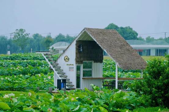 35ef9d983648499594128f8cd771958