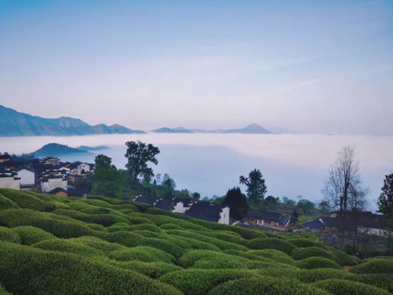 d6e4486ac5f44416102ecf821ca7652