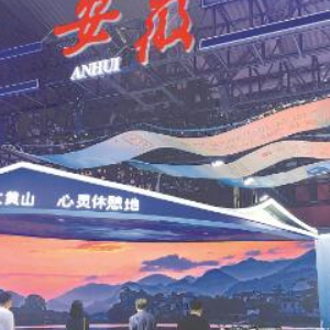 安徽省新产品、新技术精彩亮相中国