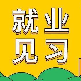 577个岗位 安徽省直机关事业单