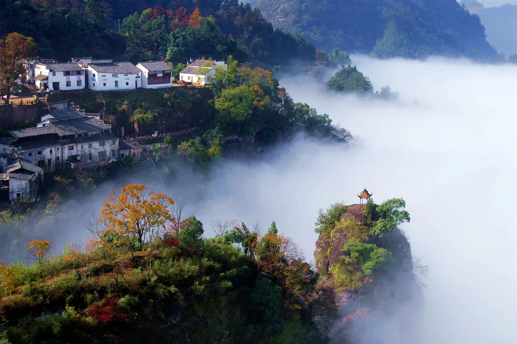 齐云山生.webp 齐云山生.webp