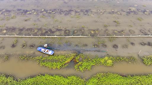 DJI_20250419071624_0341_D