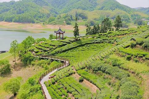 1c7608731f0c89fa96660bf99f0242e