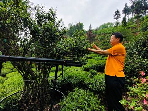 cccad837d0abcb99bd4cb5e72095523b_