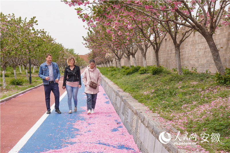 外国友人打卡樱花园。人民网记者 陈若天摄