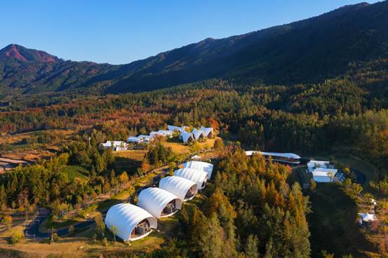 1c0663be0228fabb8716ed41c638981