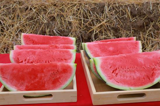 5386054a5fe8727435a69f9dc6849f6