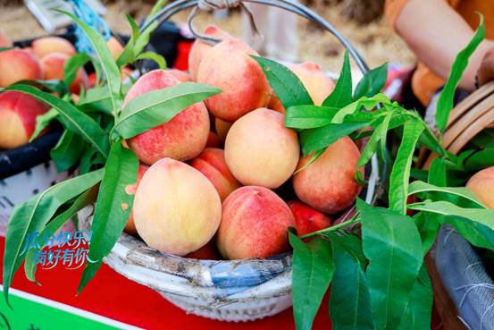 7072a4deeee7a8090018aac3a278985