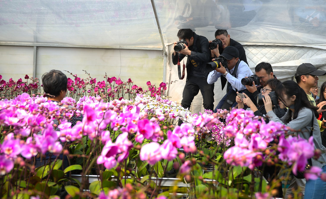 精品花卉吸引众多摄影师的关注