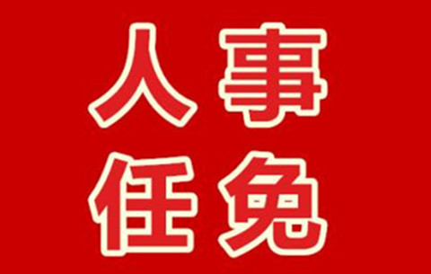 芜湖发布一批干部任前公示