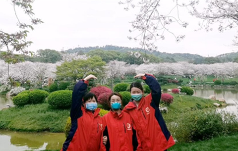 【湖北救援日記】Vlog：真美！我們看到了武漢櫻花