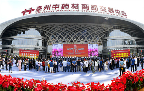 2020年国际（亳州）中医药博览会开幕