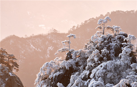 安徽黃山：銀裝素裹 雪國風光