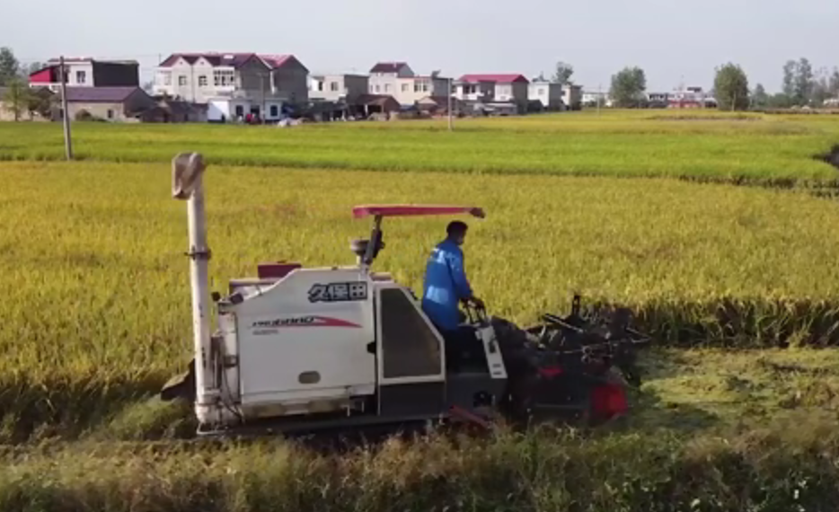 微视频：“中国好粮油”是如何成就的？