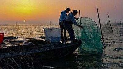 長三角區域協同立法 一體化推進長江禁漁