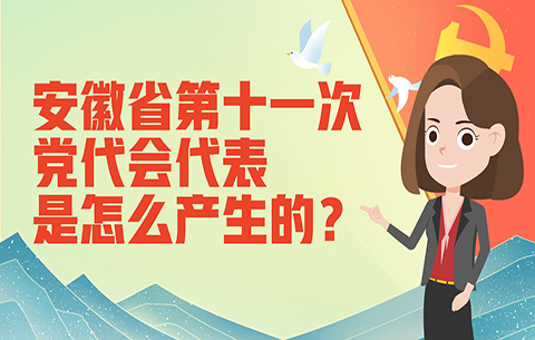 【MG动画】安徽省第十一次党代会代表是怎么产生的？