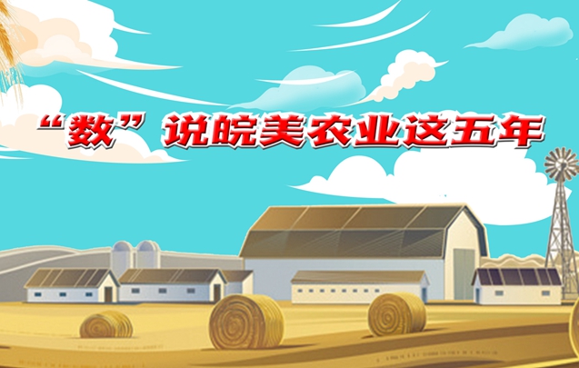 【MG动画】“数”说皖美农业这五年