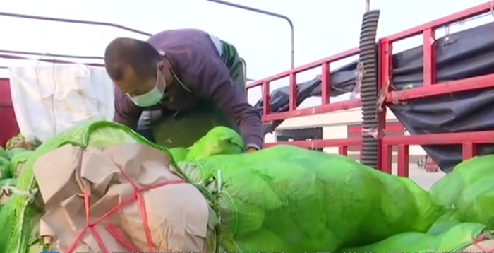 微視頻：六安160噸優質農副産品馳援上海