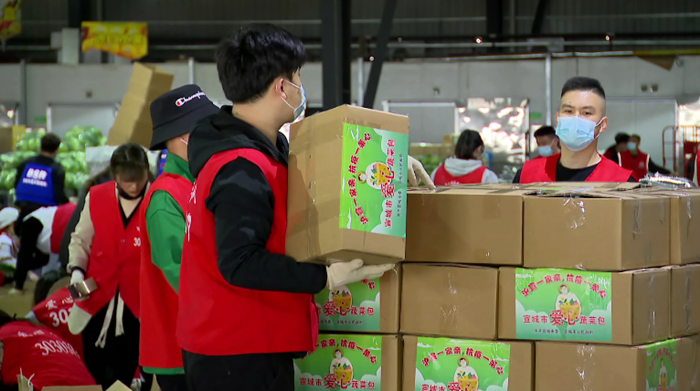 暖心守“滬” 安徽宣城1.6萬份蔬菜包馳援上海
