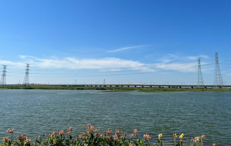 “国际湿地城市”安徽合肥湿地保护一线见闻