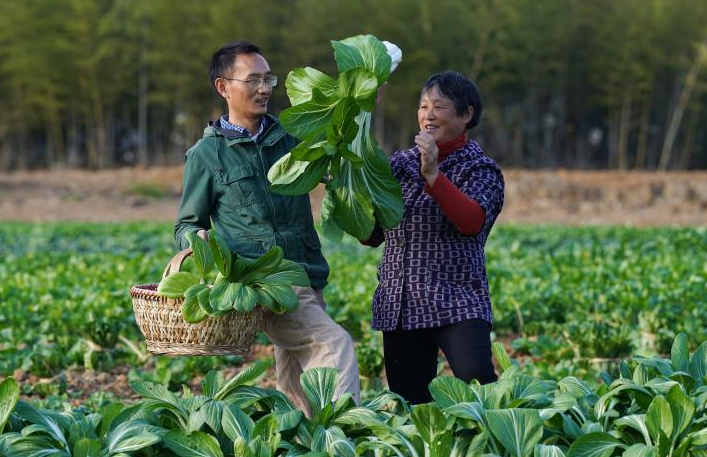 新華全媒+丨新農人的“蔬菜盲盒”生意經