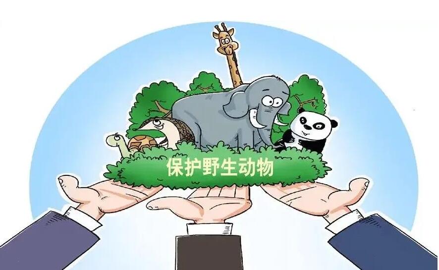 《安徽省重点保护野生动物名录》公布