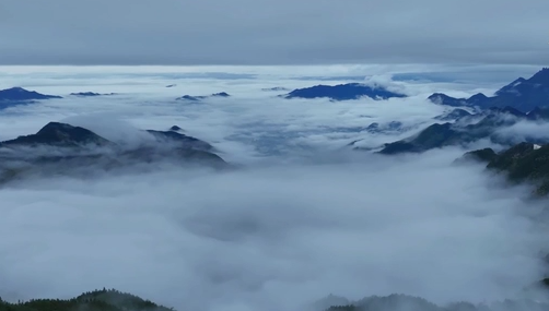 絕美！安徽九華山出現瀑布雲景觀