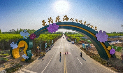 花开安徽 向春出发丨一秒爱上！亳州这片世界最大芍药花田！
